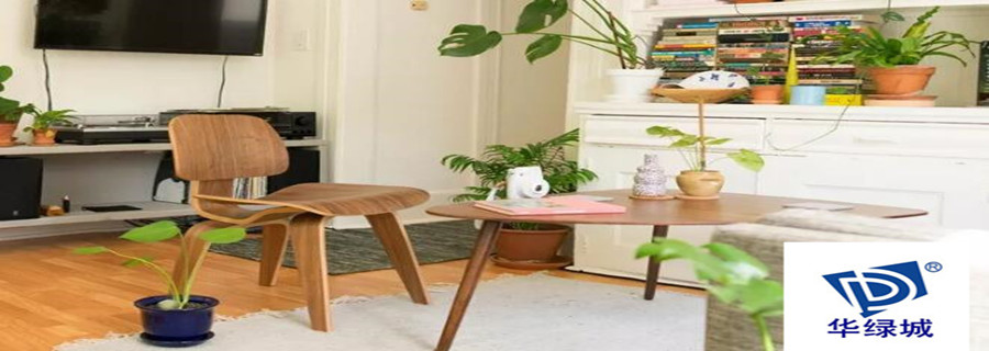 深圳新房除异味 深圳新房除异味